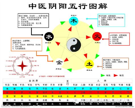 五行關係圖